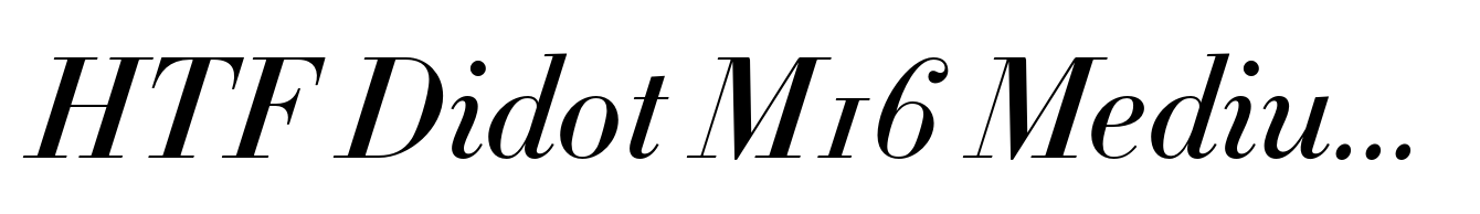 HTF Didot M16 Medium Italic